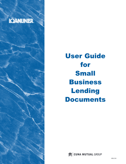 214281-chapter_1__busi-ness_applicatio-n__media_file__-da_217759__2-user-guide-for-small-business-lending---cuna-mutual-group-cuna-mutual-fillable-forms