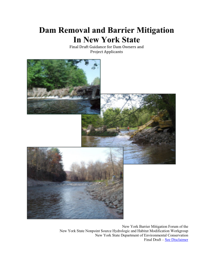 21721886-dam-removal-and-barrier-mitigation-in-new-york-state-this-guide-provides-information-for-applicants-with-an-interest-in-removing-a-dam-or-implementing-an-aquatic-barrier-mitigation-project-in-new-york-state-dec-ny