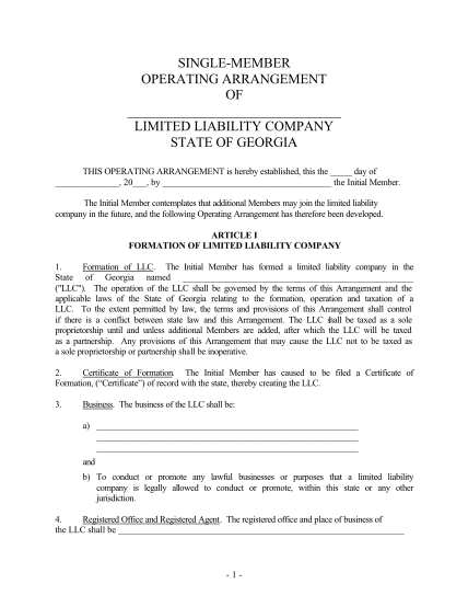 2307293-llc-operating-agreement-georgia