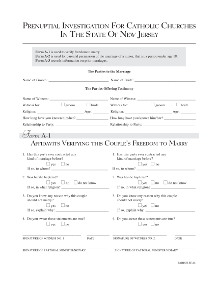 234217-fillable-prenuptial-investigation-for-catholic-churches-in-the-state-of-new-jersey-form-patersondiocese