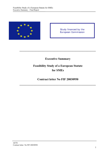 241560542-feasibility-study-of-a-european-statute-for-smes-executive-summary-final-report-download-mpo