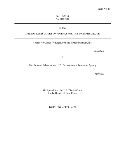 24508843-team-no-11-no-18-2010-no-400-2010-in-the-pace-law-school-law-pace
