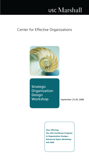 25018572-also-offering-the-ceo-certificate-program-in-organization-design-advanced-topics-workshop-fall-2009-ceo-usc