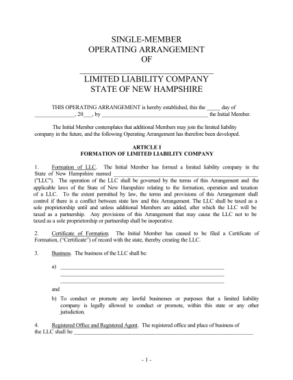 2587712-new-hampshire-single-member-limited-liability-company-llc-operating-agreement