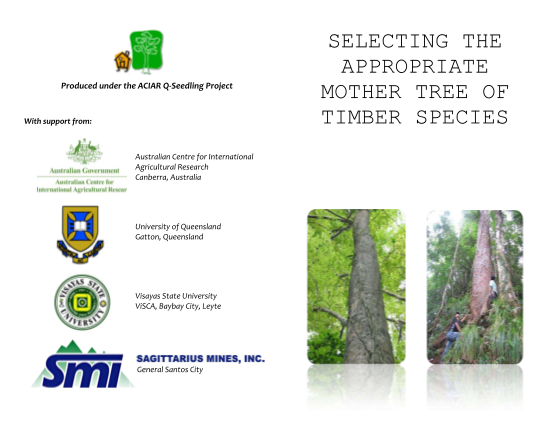 259523828-selecting-the-appropriate-mother-tree-for-timber-bb-rainforestation-rainforestation