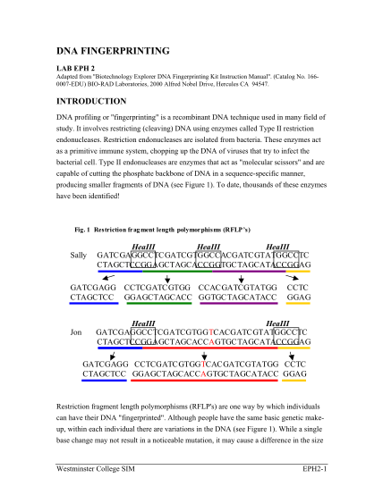 261411065-lab-eph-2-westminster