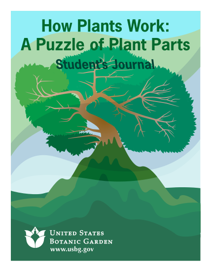 261636881-how-plants-work-a-puzzle-of-plant-parts-usbg