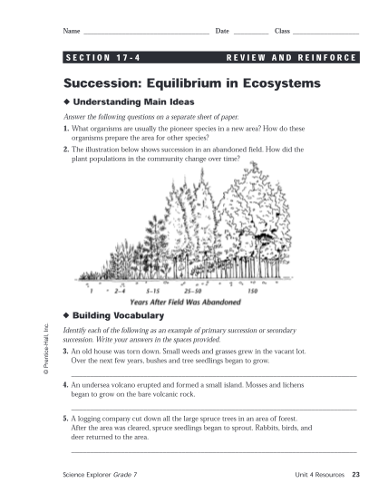 264702028-what-is-succession-in-an-ecosystem