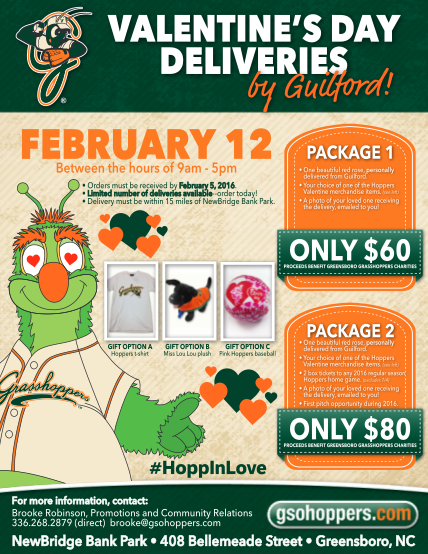 269158666-valentines-day-project-flyer-template-order-form