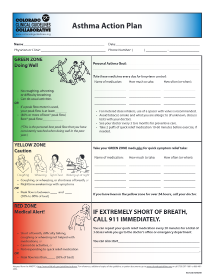 271104094-final-asthma-action-plan-and-patient-handout-4-8-08indd-rmhp