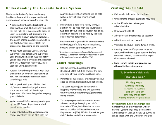 271303688-the-juvenile-justice-system-san-mateo-health-system-smchealth