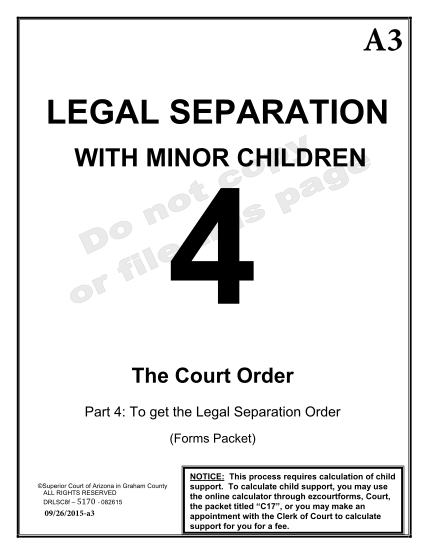 271806511-legal-separation-with-minor-children-the-court-order-part-4-legal-separation-with-minor-children