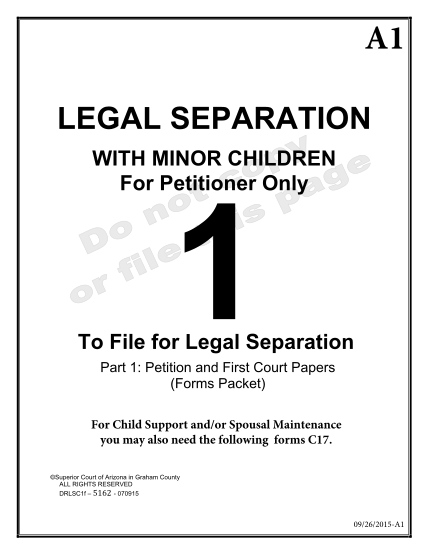 271807541-with-minor-children-for-petitioner-only-1