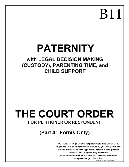 271807550-paternity-with-legal-decision-making-custody-parenting-time-and-child-support-the-court-order-for-petitioner-or-respondent-part-4-paternity