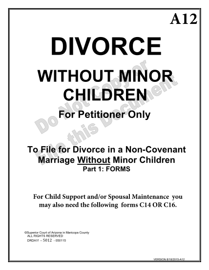 271807683-divorce-without-minor-children-for-petitioner-only-to-file