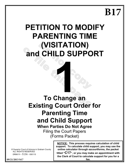 271808415-petition-to-modify-parenting-time-visitation-and-child-support-to-change-an-existing-court-order-for-parenting-time-and-child-support-when-parties-do-not-agree-filing-the-court-papers-forms-packet-petition-to-modify