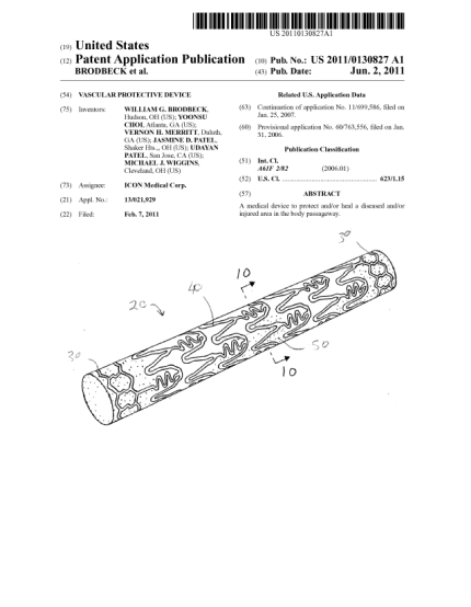 271889992-vascular-protective-device