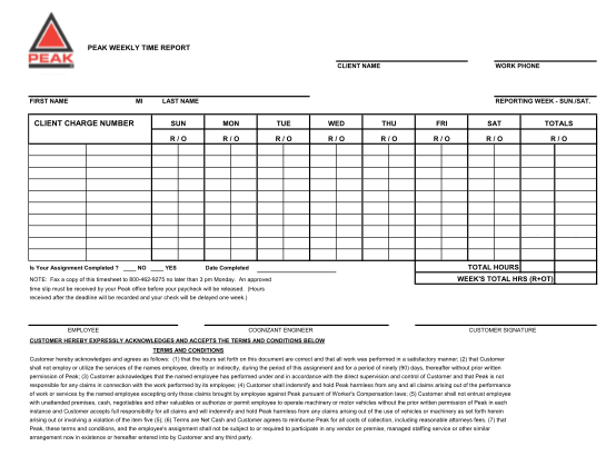 272983557-peak-technical-staffing-weekly-time-report-form