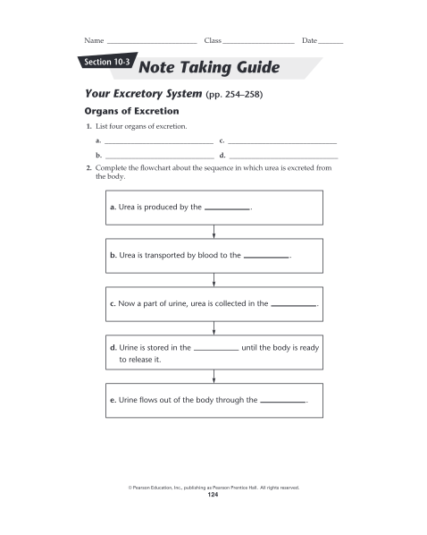 274850522-name-section-103-class-date-note-taking-guide-your-excretory-system-pp-blogs-rsd13ct