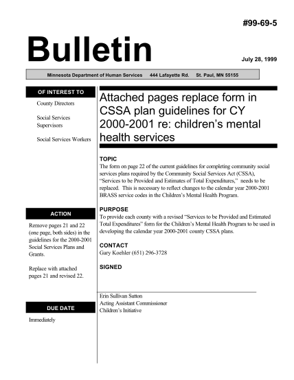 27599119-attached-pages-replace-form-in-cssa-plan-guidelines-for-cy-2000-dhs-state-mn