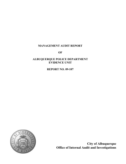 277747332-management-audit-report-iape