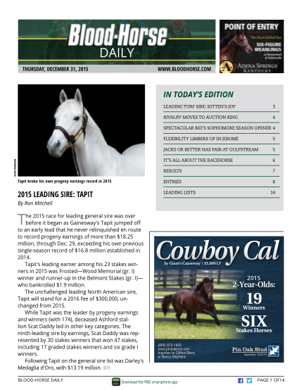 279585834-in-todays-edition-the-blood-horse