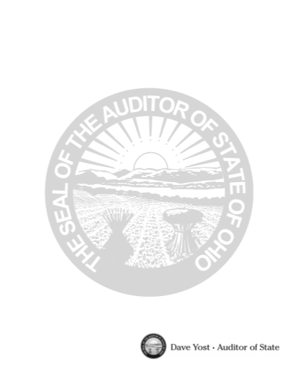 28118582-audit-report-cover-sheet-jan07-dave-yost-ohio-auditor-of-state-audits-auditor-state-oh
