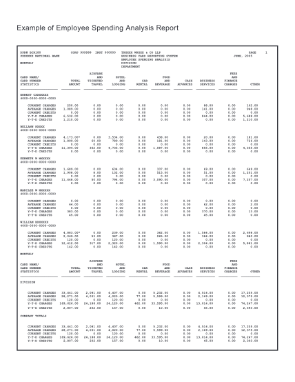 283849581-example-of-employee-spending-analysis-report