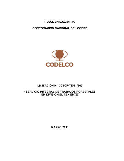 290846530-resumen-ejecutivo-lic-11-906-final-stgo-codelco