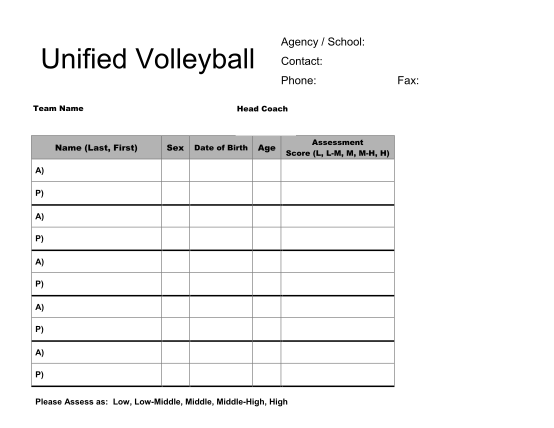 125 Official Volleyball Scoresheet page 2 - Free to Edit, Download ...