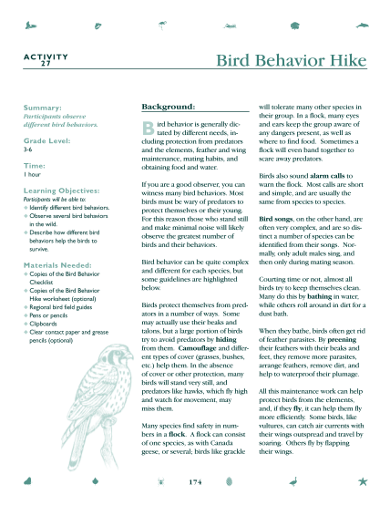 291034615-bird-behavior-hike-national-wildlife-federation