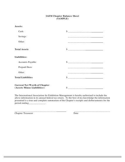 291992970-sample-chapter-balance-sheet-iaeecom