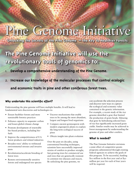 29420-pgi_brochure-pine-genome-initiative-financial-aid-for-college-pinegenomeinitiative