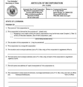 2956786-article-of-incorporation-sample-form