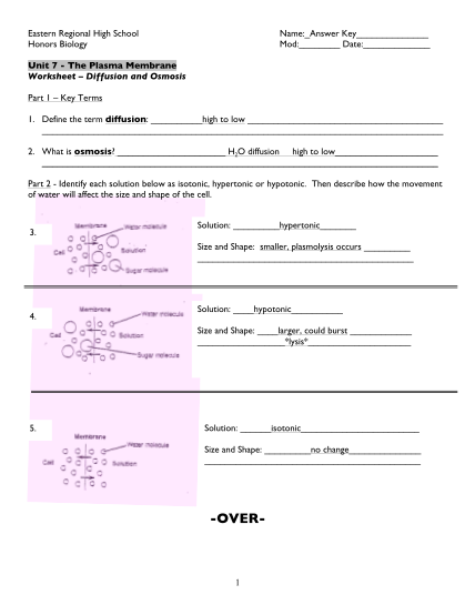 297834307-osmosis-worksheet-answer-key-pdf