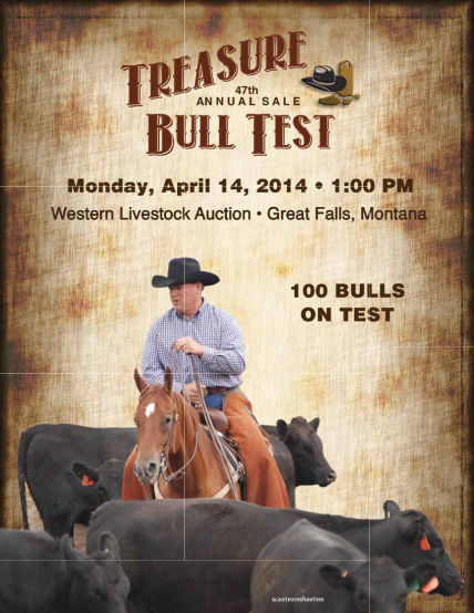 298674518-angus-bulls-on-fer-bill-pelton-livestock