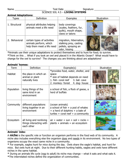 26 Board Resolution Definition Page 2 Free To Edit Download Print 