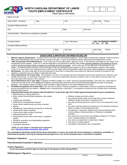 30258870-fillable-youth-employment-form-dunn-nc