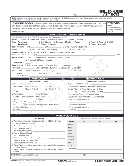 21 Skilled Nursing Notes Pdf Page 2 Free To Edit Download Print 