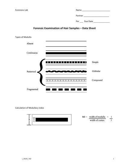 303403804-forensic-examination-of-hair-samples-data-sheet-www2-rcscsd