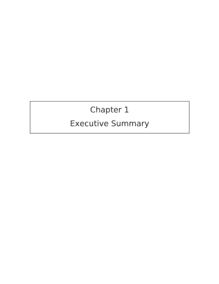 30525310-chapter-1-executive-summary-city-of-austin-austintexas