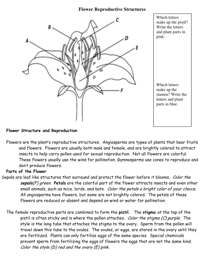 305599632-flower-reproductive-structures-anderson-high-school