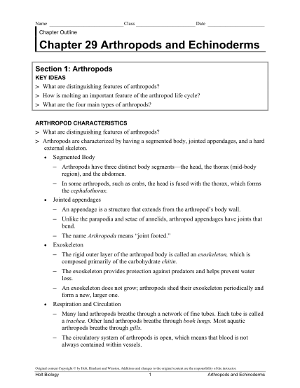306382319-arthropods-and-echinoderms-summary-notes