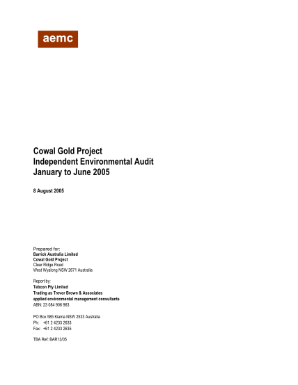 309217122-independent-audit-report-06-05doc