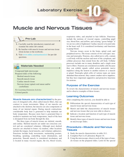309267660-muscle-and-nervous-tissues-bdumas-k12netb