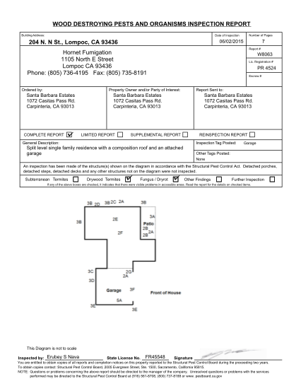 309344537-wood-bdestroyingb-pests-and-borganismsb-inspection-breportb-204nncom