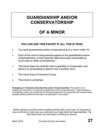 123 Temporary Guardianship Agreement - Free To Edit, Download & Print ...