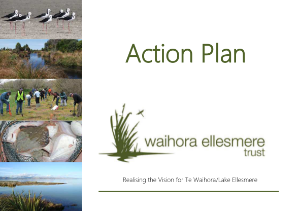 309797406-realising-the-vision-for-te-waihoralake-ellesmere-wet-org