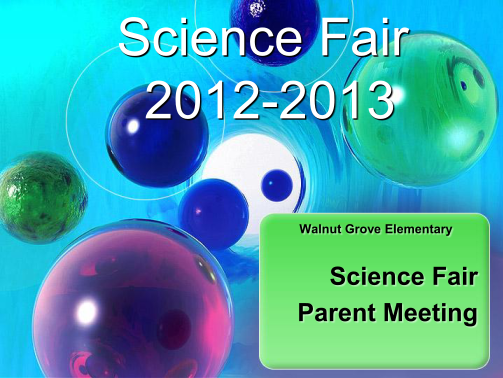 310486748-science-fair-b2012b-2013