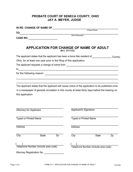 31532692-application-to-change-an-adults-name-form